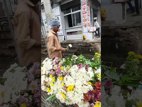 Seasonal plants on roads