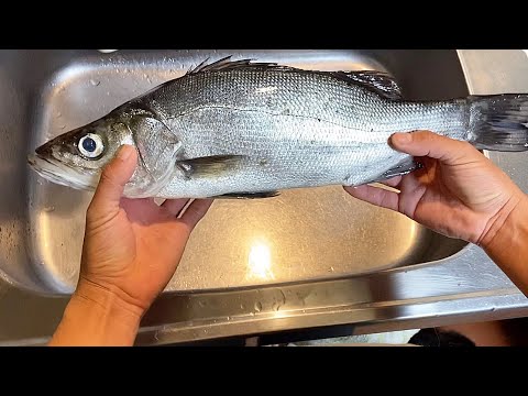 釣れたこの魚は衝撃の味でした…