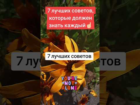 Топ 7 лучших советов, которые должен знать каждый.