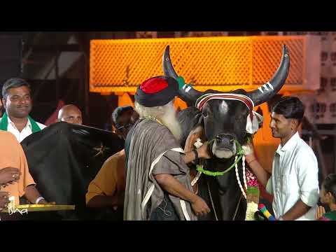 Sadhguru Meets Farmers & Garlands Bull