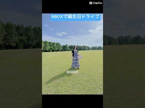 【N BOX】ドキドキ✨️はじめての首都高ドライブ❣️お誕生日のお祝いドライブ浦安の海