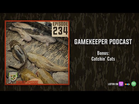 EP:234 | Bonus: Catchin’ Cats