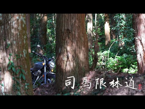 一個人的 司馬限林道 || 大湖溪林道の一百米