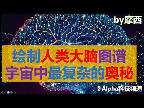 绘制人类大脑图谱，揭示宇宙最复杂的奥秘｜ #脑科学 #医学 #生物学 ｜ Alpha科技频道 by Alpha的摩西