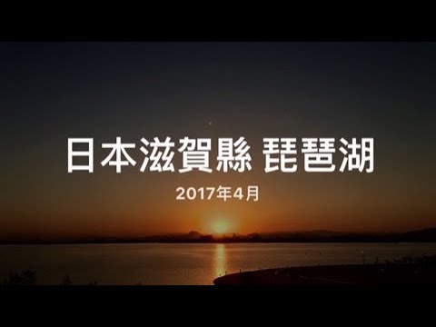 日本最大的淡水湖 滋賀縣 琵琶湖破曉 櫻花草盛開