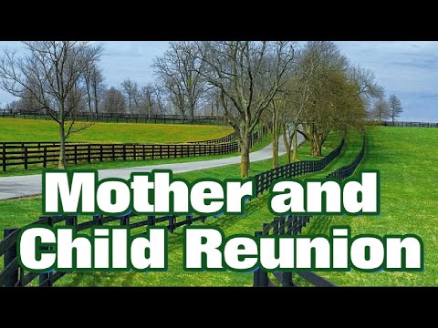 Mother and Child Reunion (lyric song with Lyrics by Paul Simon)