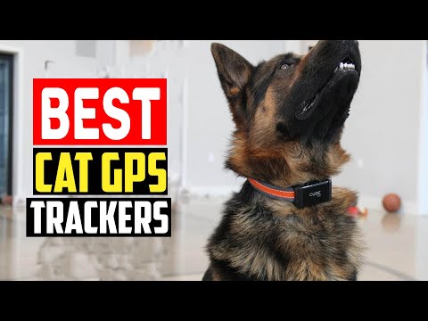 ✅Top 5 Best Cat GPS Trackers of 2024