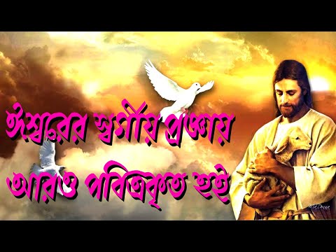 স্বর্গীয় প্রজ্ঞায় পবিত্রকৃত হই।Bangla Gospel Preaching।Bengali Gospel Sermon।