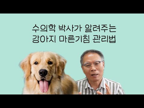 수의학박사 닥터엠이 알려주는 강아지 마른기침 대처방법