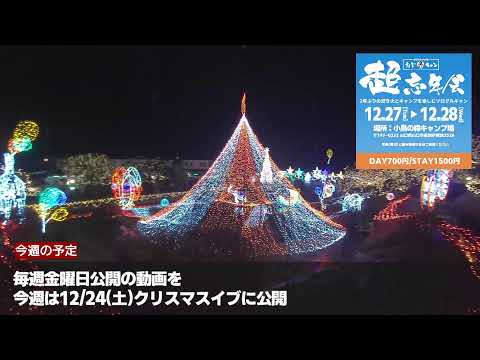 今年最後のライブ配信＠自宅