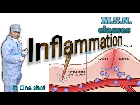 #MSN//#what is Inflammation?//#Medical surgical nursing//#pathophysiology of inflammation//#steps