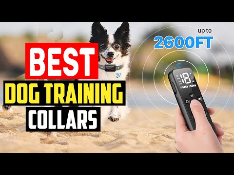 ✅5 Best Dog Training Collars in 2023