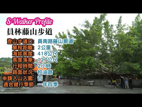 S隨談｜藤山古道｜週日分享版