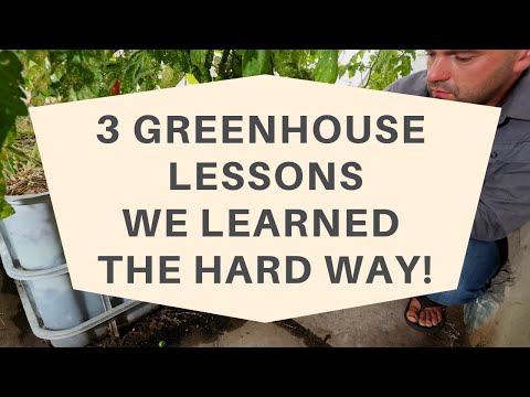 3 Solar Greenhouse DIY Lessons We Learned The Hard Way!