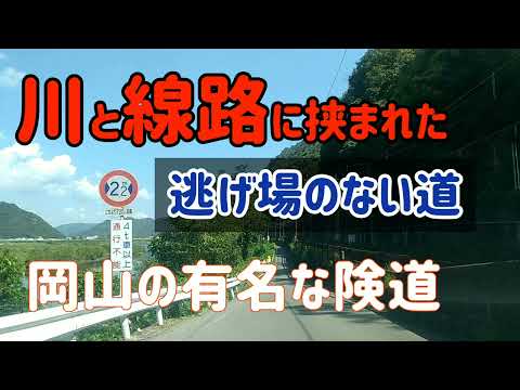 【赤磐/和気】岡山の圧迫感が半端ない道を走ってみた！