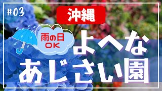 【沖縄旅行】梅雨のおすすめスポット「よへなあじさい園」