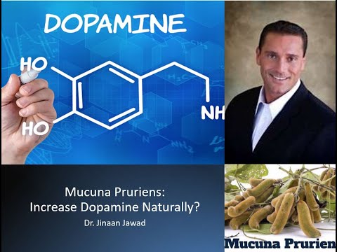 Mucuna Pruriens: Does It  Increase Dopamine Naturally?