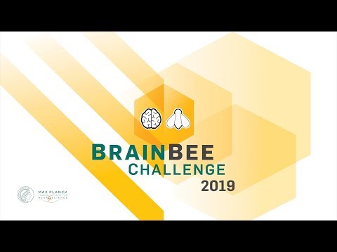 Brain Bee 2019 Registration Now Open