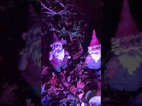 看一下诺姆(Gnome)晚上的风采吧 / Gnomes at night —— good luck symbols