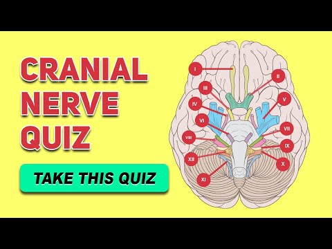 Cranial Nerve Quiz | Human Anatomy and Physiology