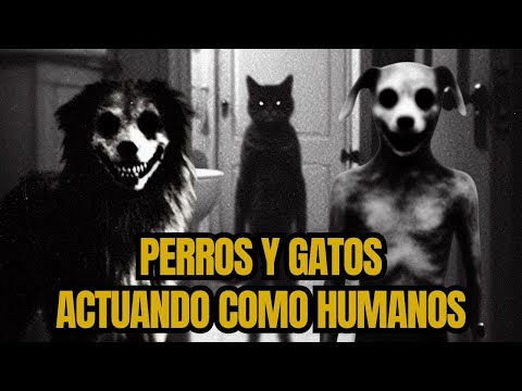 Perros y Gatos Actúan COMO HUMANOS! ¿Fenómeno Paranormal?