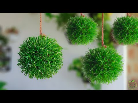 How to Make Hanging Grass Ball Kokedama | Hanging Ball Plants | Hanging Garden Ideas//GREEN DECOR