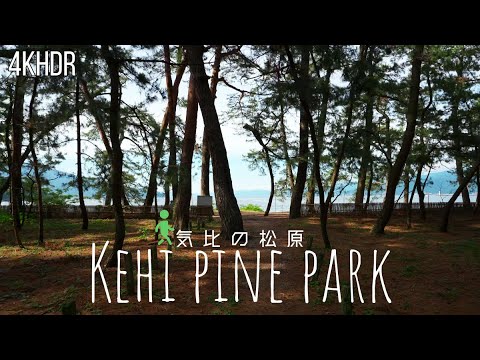 [4KHDR]Walking tour Kehi pine park[Japan]日本三大松原の一つ 気比の松原を散策　福井県