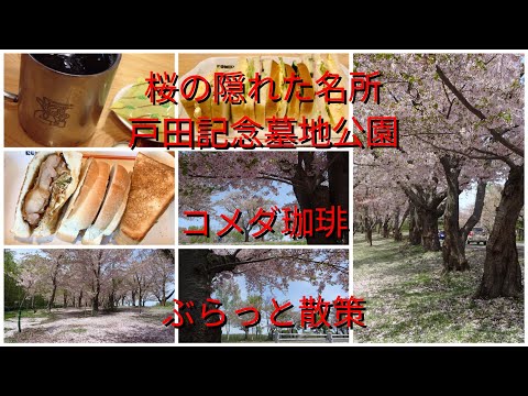 桜の隠れた名所戸田記念墓地公園コメダ珈琲ぶらっと散策【過走行ワゴンRで走り回り動画撮ってます】まだまだ走れます