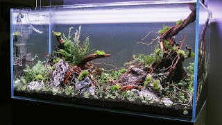 Aquascaper 900 - How to Aquascape a Beautiful Nature Aquarium