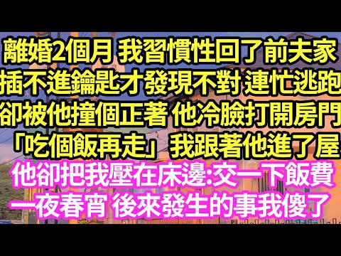 離婚2個月 我習慣性回了前夫家，插不進鑰匙才發現不對 連忙逃跑，卻被他撞個正著 他冷臉打開房門「吃個飯再走」我跟著他進了屋他卻把我壓在床邊:交一下飯費，一夜春宵 後來發生的事我傻了 #甜寵#小說#霸總