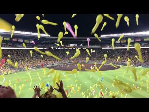 2018/09/02 甲子園球場 阪神 あと一人からの勝利！