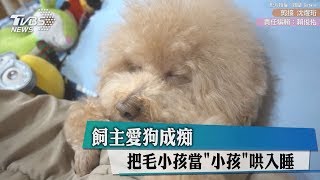 飼主愛狗成痴 把毛小孩當「小孩」哄入睡