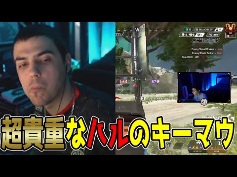 久しぶり！超貴重なハルのキーマウ【Apex翻訳】【まとめぺくす】