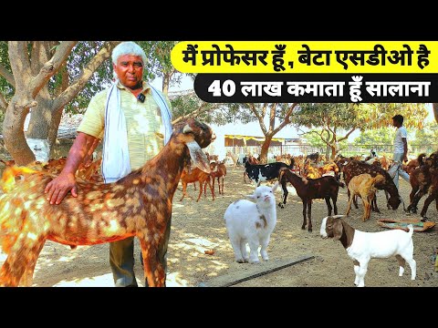 प्रोफेसर साहब का शानदार 3 एकड़ में बकरी फार्म | Goat farm | Goat farming