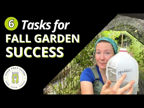 6 Tasks to Do NOW to Prep the Fall Garden 🍅🥒🧅