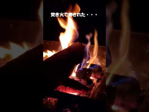 焚き火で癒された夜 #shorts