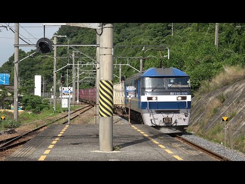 [発電ブレーキ起動] EF210-338牽引3079レ貨物列車 箕浦駅停車