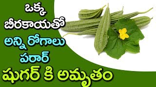 AMAZING Benefits of Ridge Gourd You Never Knew! | Ridge Gourd to Reduce Diabetes | VTube Telugu