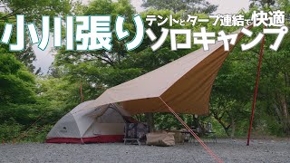 【ソロキャンプ】ムササビウイングとネイチャーハイクで小川張り！卓上BBQを楽しむ1日 4k