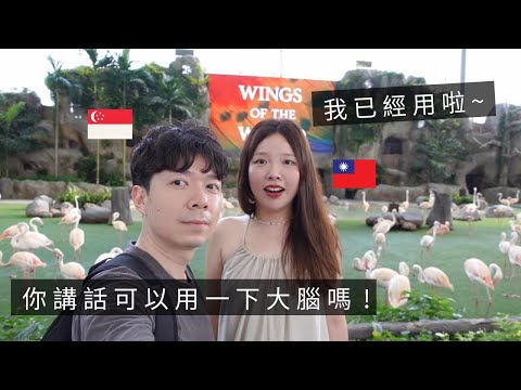 ［🇸🇬新加坡VLOG99］台灣老婆頭腦簡單有錯嗎🥲｜薛之謙演唱會，搞笑示範如何買咖啡🤣｜超級療癒的新加坡飛禽公園，大自然是最棒的老師❤️