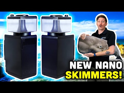 NEW Sicce Shark 150 & 300! The Future of Nano Skimming?