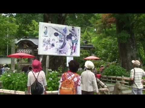 美作大聖寺紫陽花ウオーク