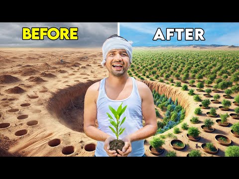 Finally...We Plant 1 Lakh Trees - एक लाख पेड़🌳| Part-2