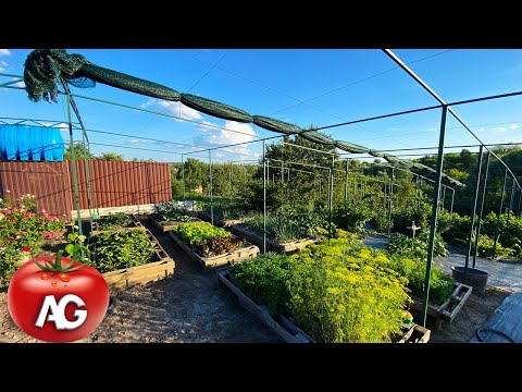 A tour of my dream vegetable garden