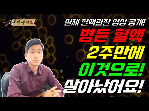 병든 혈액, 2주만에 이것으로 살아났어요!