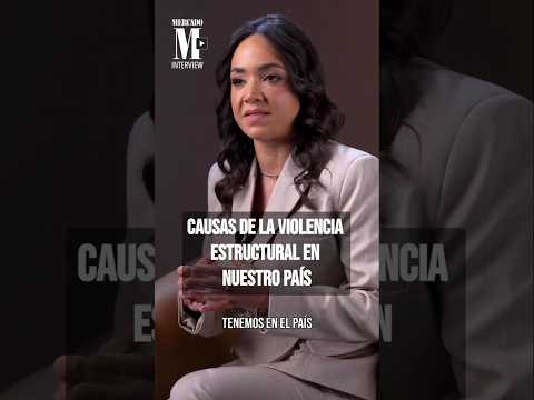 Causas de la violencia estructural - Faride Raful