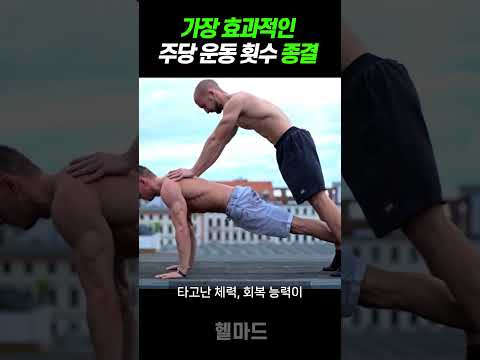 일주일에 몇 번 운동해야 근육이 가장 빠르게 자랄까? (주당 운동 횟수 종결)