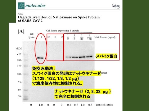 『ワクOO後遺症にナットウキナーゼが有効か』