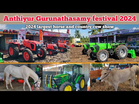 Anthiyur Gurunatha Swamy temple festival 2024 | India's largest horse & country cow market