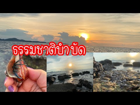 ธรรมชาติ บำบัด